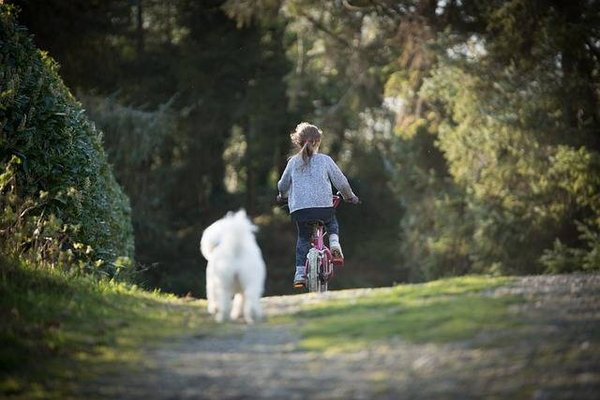 Comment louer un vélo à Biarritz pour améliorer votre forme physique?